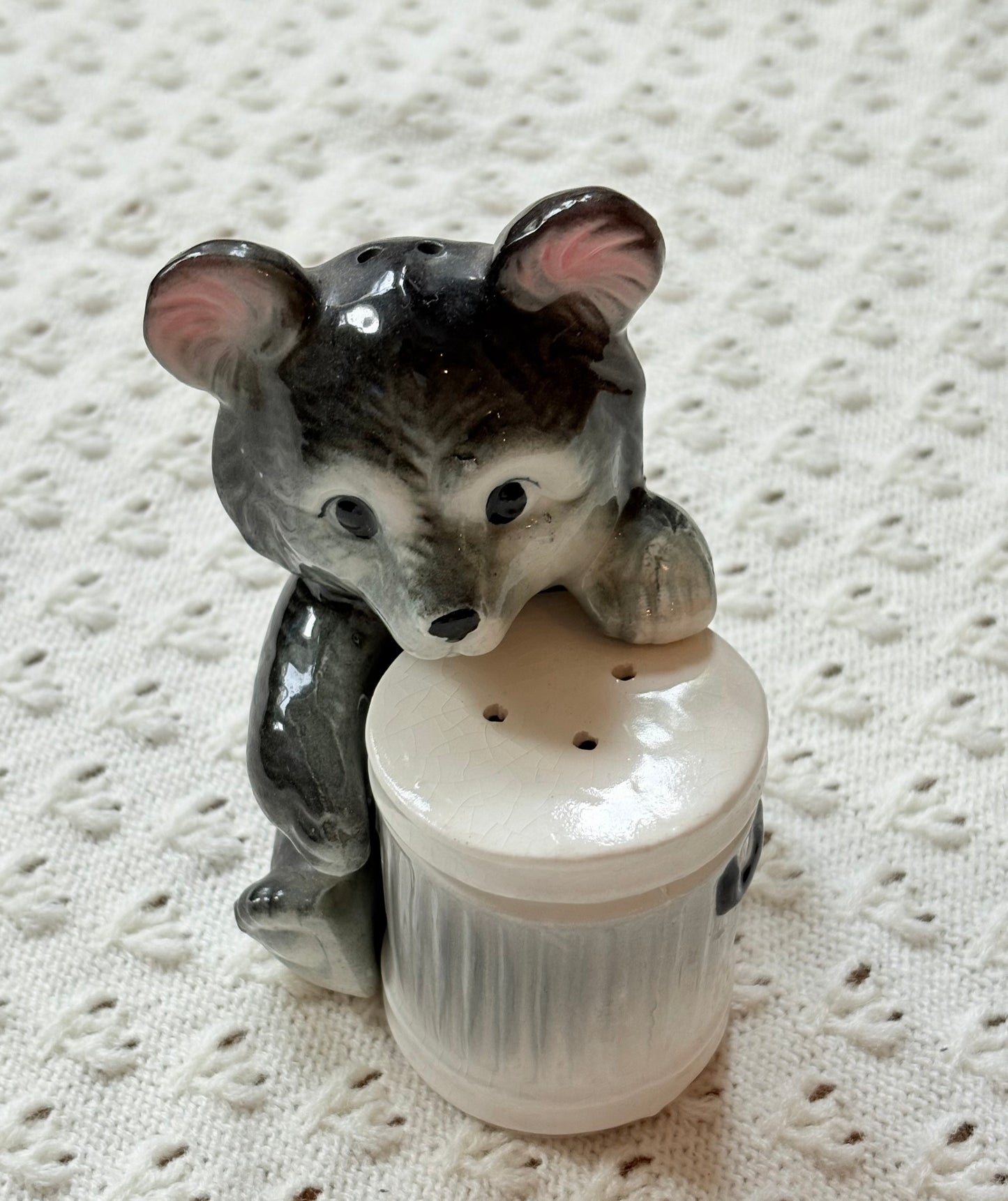 Trash Bear Salt ‘n’ Pepper Shakers