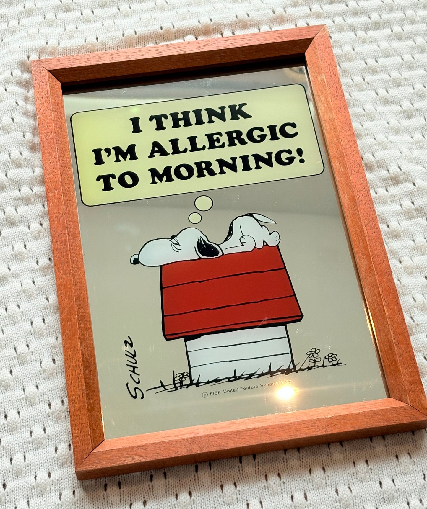 Snoopy Wall Mirror