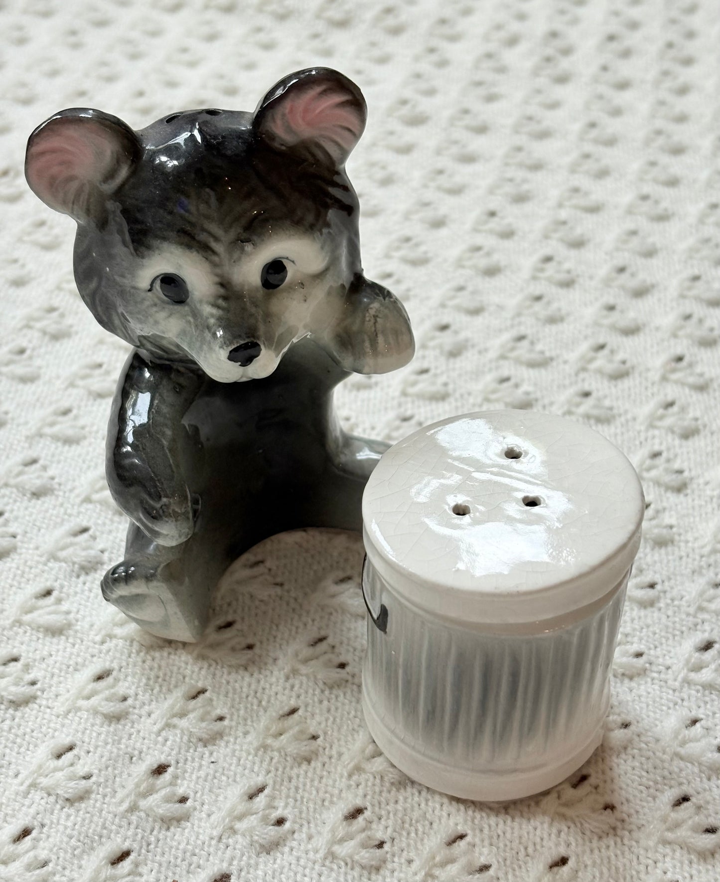 Trash Bear Salt ‘n’ Pepper Shakers