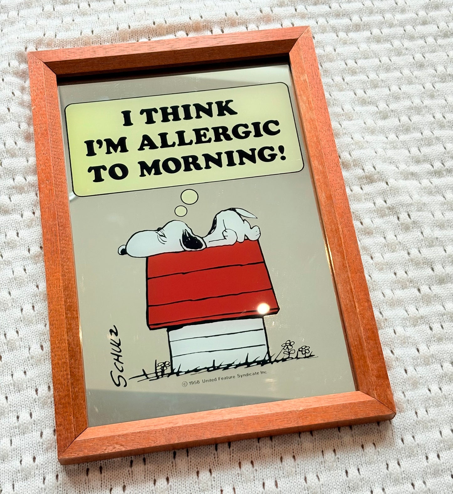Snoopy Wall Mirror