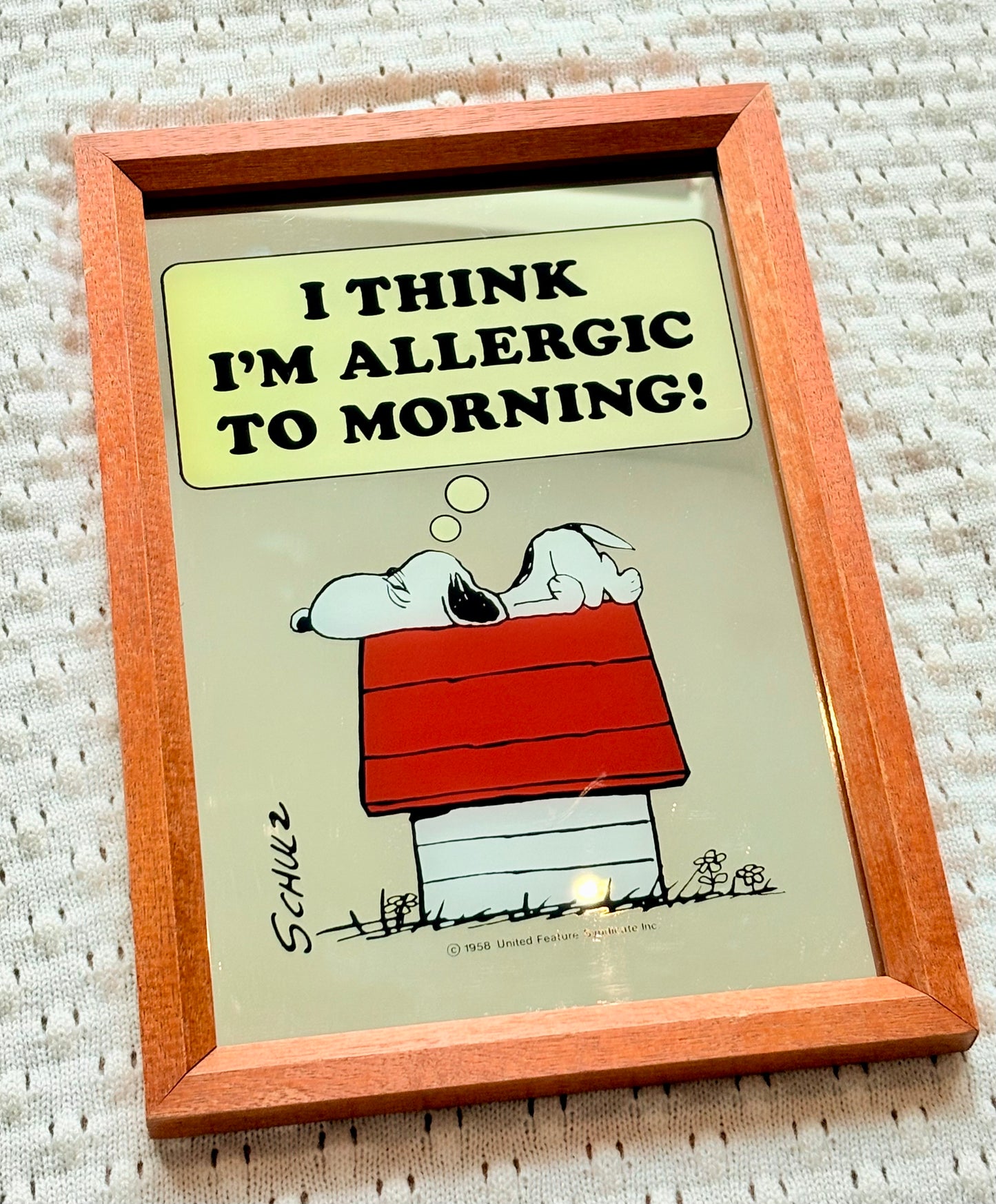 Snoopy Wall Mirror