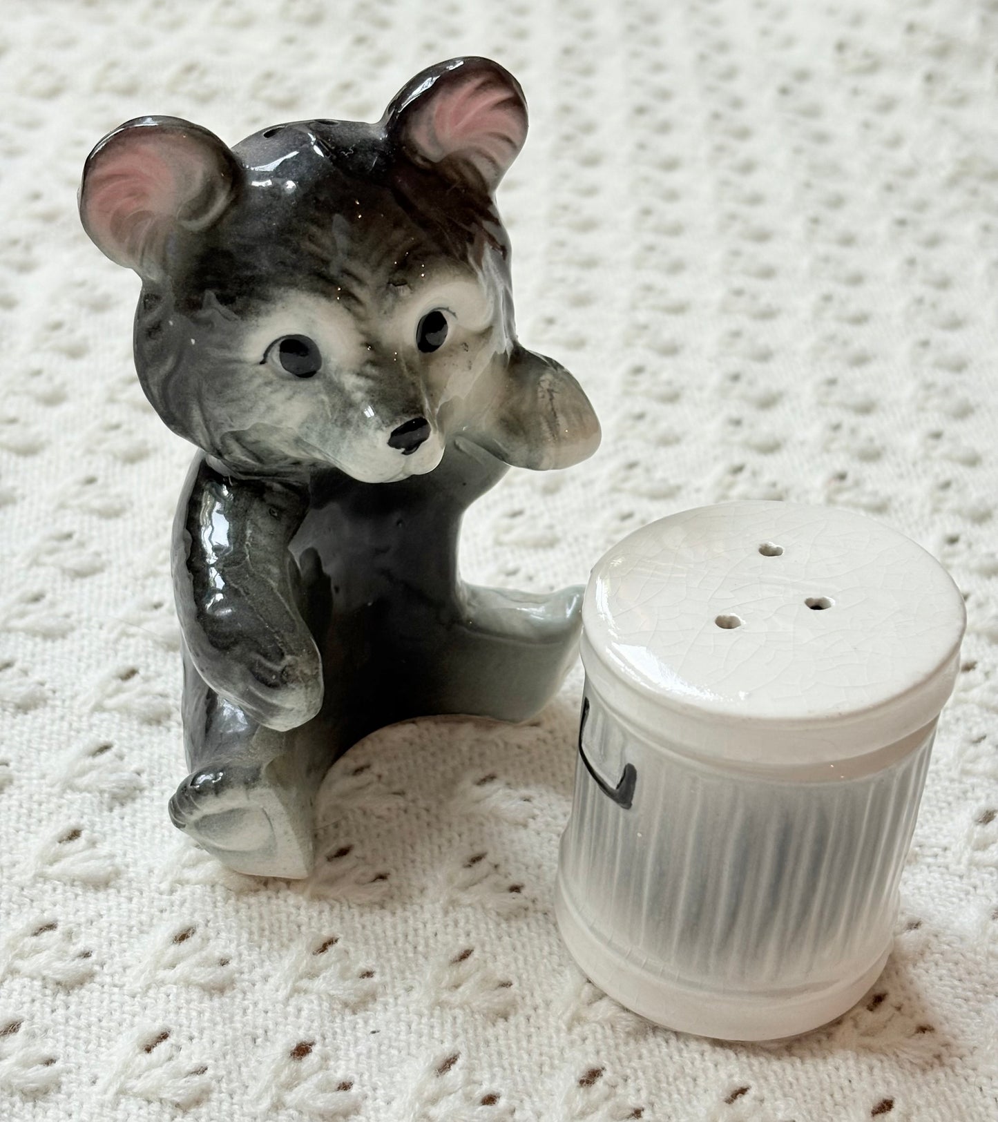 Trash Bear Salt ‘n’ Pepper Shakers