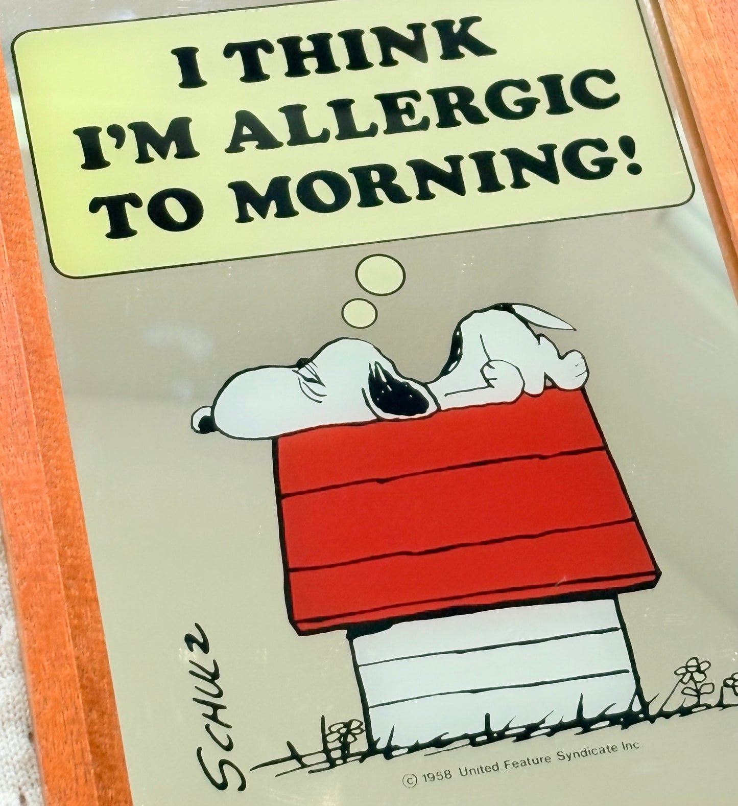 Snoopy Wall Mirror