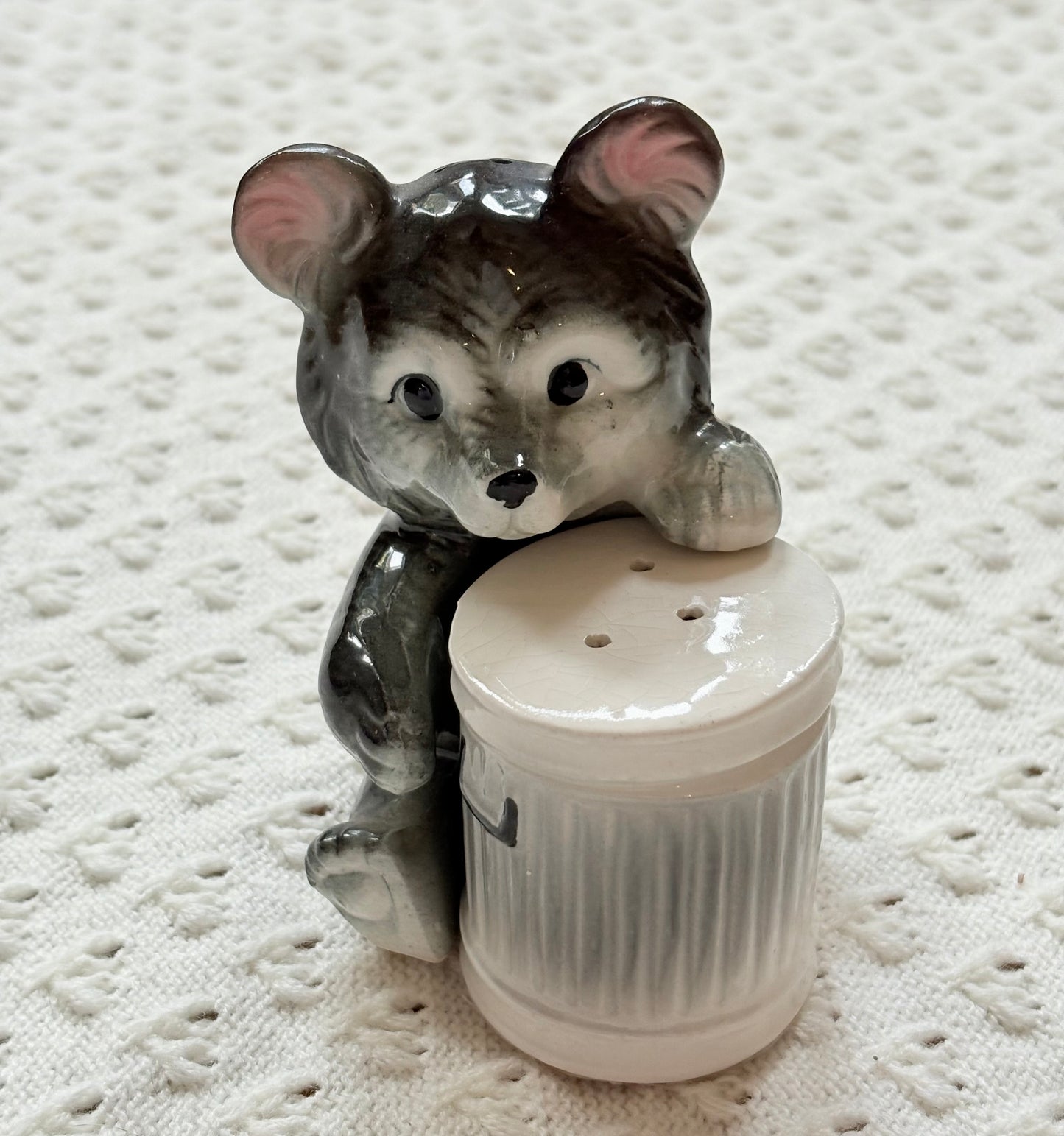 Trash Bear Salt ‘n’ Pepper Shakers