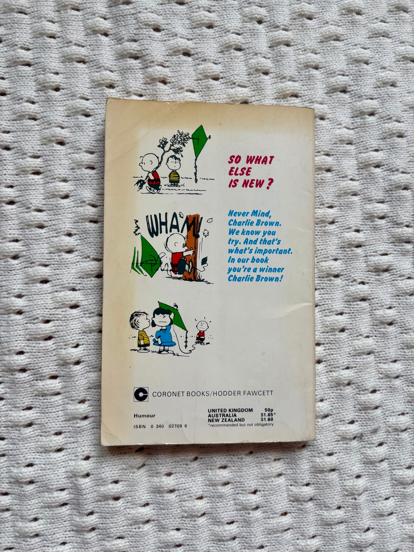 You’re a Winner, Charlie Brown! Book