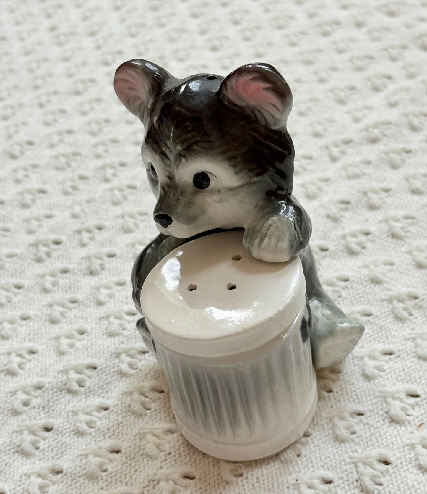 Trash Bear Salt ‘n’ Pepper Shakers