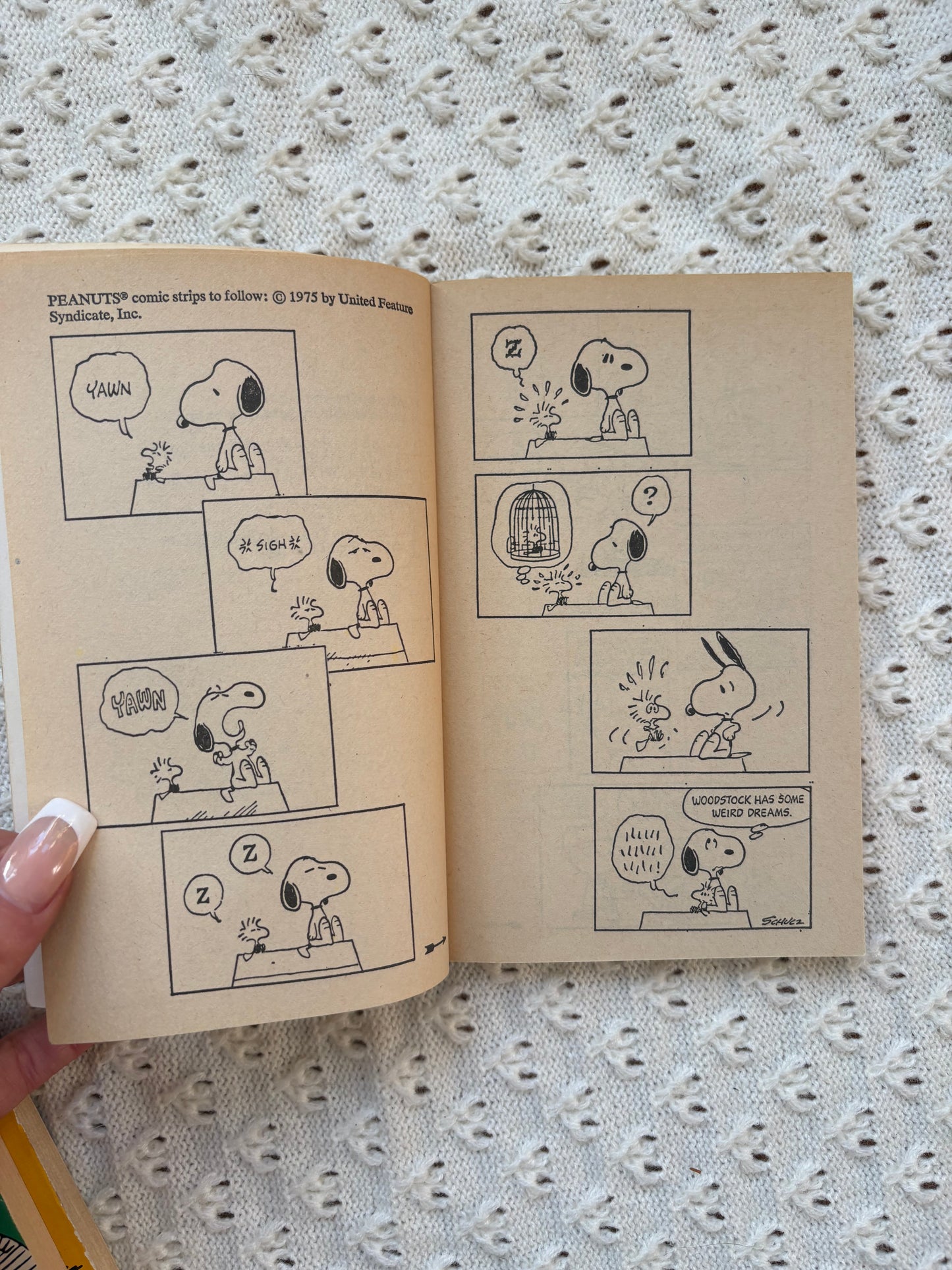 Think Thinner, Snoopy Comic