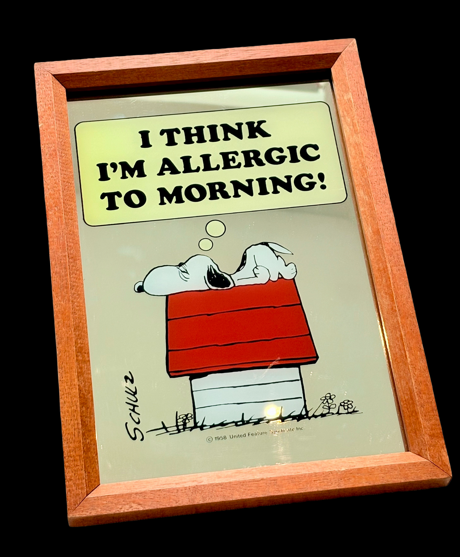 Snoopy HQ