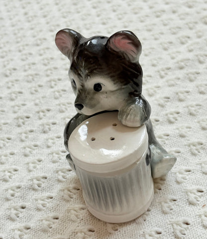 Trash Bear Salt ‘n’ Pepper Shakers