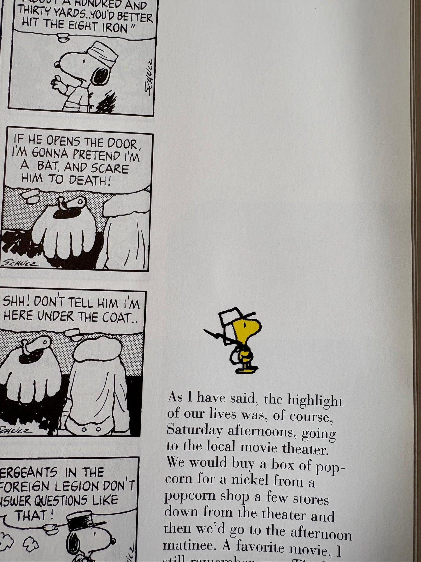 Snoopy A Golden Celebration
